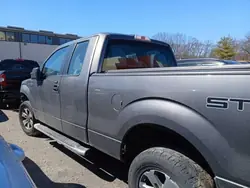 Takalasi Ford OE szyba_ford F150:lle 2009-2014