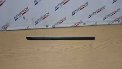 Right Rear Door Trim BMW X5 (E70) 51137158536