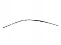 BMW F34 Linke Chrom Dachreling OEM 51351337433419