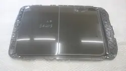 Teto Panorâmico Peugeot 3008 OEM 98104891PR - Usado