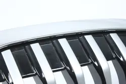Griglia Cromata di Lusso BMW F40