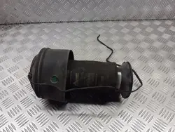 Esfera suspensión trasera OEM A-2939 para Citroen C4 Picasso
