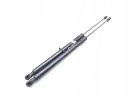 Bakluckdämpare OEM 39169064 för Vauxhall Insignia