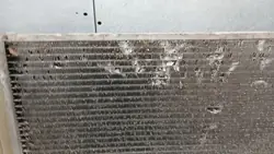 Fiat OE Wasserkühler OEM VOLVOMAR-140282