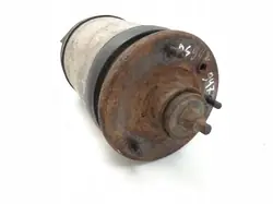 Amortisseur pneumatique arrière Land Rover Range Rover Sport L320 OEM 3496695