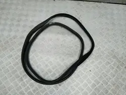 Junta porta dianteira esquerda OEM FRE43621 Dacia Duster II