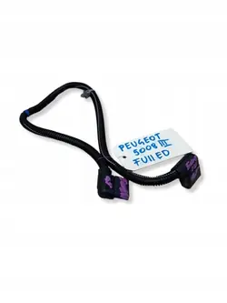 Peugeot 3008/5008 III LED-kabel BWG1172