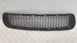 BMW M3 E92 E93 Bumper Grille 51117900764