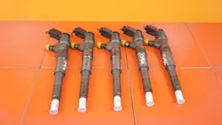 Inyector BMW E60 3.0 D 0445110219