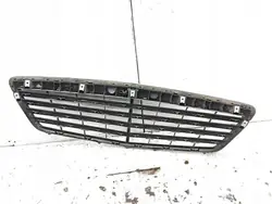 Mercedes-Benz S W221 Grill A2218800483