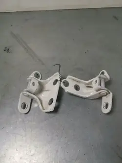Charnières portière arrière Hyundai i10 OEM FBZ15806