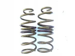 Molas Suspensão Traseira OEM JSGSFSDRWW42920290292029