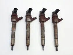 Jeu d'injecteurs OEM 0445110524 pour Jeep Renegade