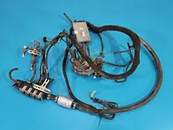 Kit GLP STAG 4 QBOX BASIC OEM IMPRK1589259