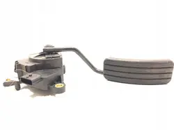 Gaspotentiometer Renault Kangoo II 1.5 115PK OEM