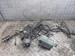 LPG-Kit OEM 67R-014289 für Renault - Gebraucht