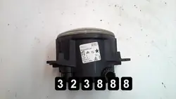 Dimljus OEM AM-323888 för Citroen C5 2007