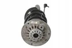 Amortisseur arrière gauche BMW F20 F21 F33 6865128