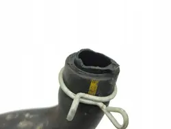 Entlüftungsschlauch Toyota Corolla E210 2022 OEM AMD177303