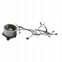 Tesla Model S Heater Resistor 6008246-00-B