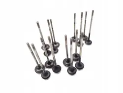 Soupape Mini Cooper OEM N16B16A - Pièce d'occasion