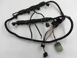 Faisceau Moteur OEM 7558156 pour BMW X5 E70