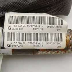 OEM DRC100733 Cortina Airbag Esquerda para Peugeot 207