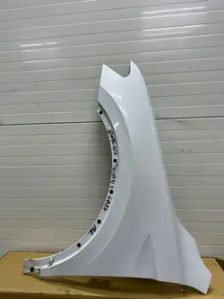 Fram vänster skärm VW TIGUAN II 2 5N 2018 5NA821105B LC9A