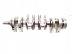 Vilebrequin SsangYong Kyron OEM 664010CF - Occasion