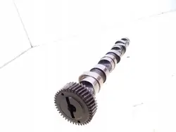Arbre à cames Audi OE 102R pour A6 S6 C5 4B 2003