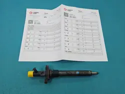 Getesteter Einspritzer OEM EJBR03801D für Citroen C5 II