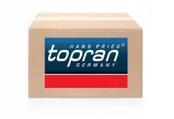 Topran 208 670 Braccio di Sospensione, Anteriore Destro