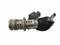 Injecteur AdBlue OEM 9802763880-123ds-abef83 pour Citroen