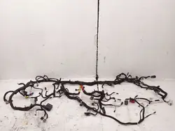 Bedrading Ford Mustang Mach-E