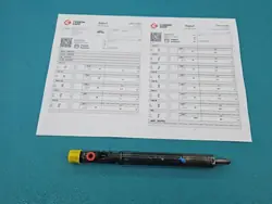 Geteste injector OEM EJBR01001A voor Citroen C3 1.4 HDI