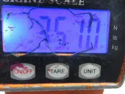 Bakfjädring OEM 55020MB90A för Renault Maxity