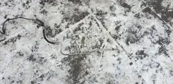 Mercedes A1693702096 Automatväxel Oljeledning