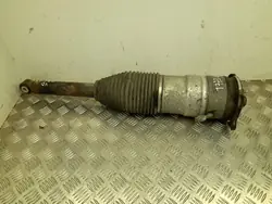 Tesla Luftfederung Dämpfer OEM 600635207A Links Hinten