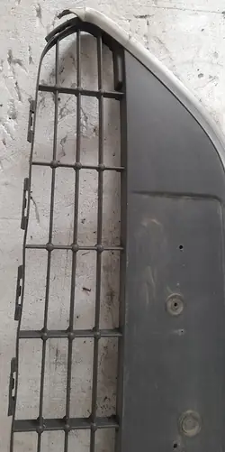 Grill Ford Focus II