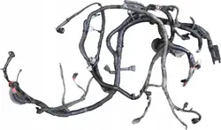 Moottorin Johdotus OEM 24012-EB38D Nissan Navara