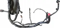 Faisceau Moteur OEM 24012-EB38D Nissan Navara