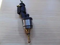 BRC LPG Einspritzdüse OEM 09SQ99020025 - Gebraucht