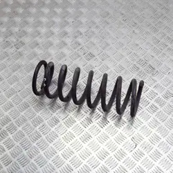 Mola amortecedor traseira direita OEM A1073240604 Mercedes