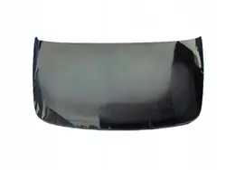 Vidro de porta-malas BMW X4 G02 OEM 76432 Usado