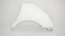 Vorderer rechter Kotflügel OEM 360196672 für Citroen C3 II