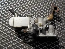 Enfriador de escape RENAULT MEGANE III 1.9 DCI 8200804050