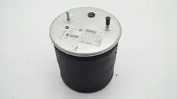 Mola pneumática PE Automotive OEM 08408373A Usada