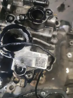 Ölpumpe OEM 150007894R für Nissan Navara NP300 D23