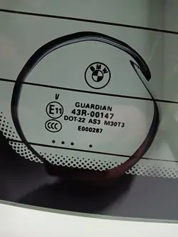 Vitre arrière OEM 2452BYPRA pour BMW X5 E70 (2006-2013)