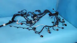 Faisceau Moteur Chery Omoda 5 OEM 806009338AA